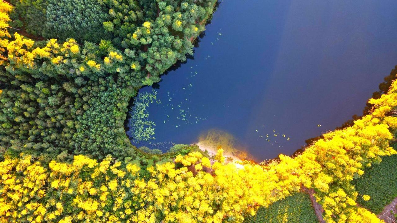Over The River - Widok Na Rzeke, Przy Parku, Parking, Winda, Netflix I Max, Centrum Ilawa Bagian luar foto